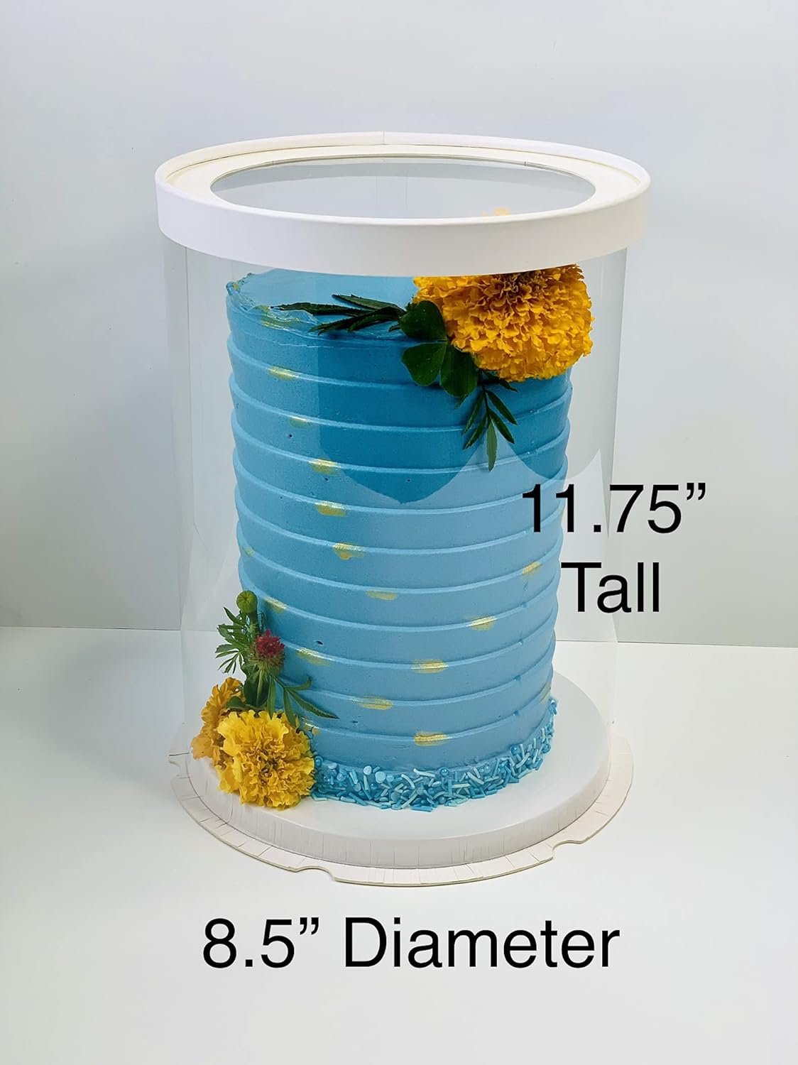 8.5x11.75 Inch ROUND Clear Cake Box Transparent White Tall Layer with clear lid