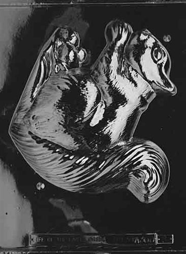 3D Jumbo Squirrel Chocolate Mold