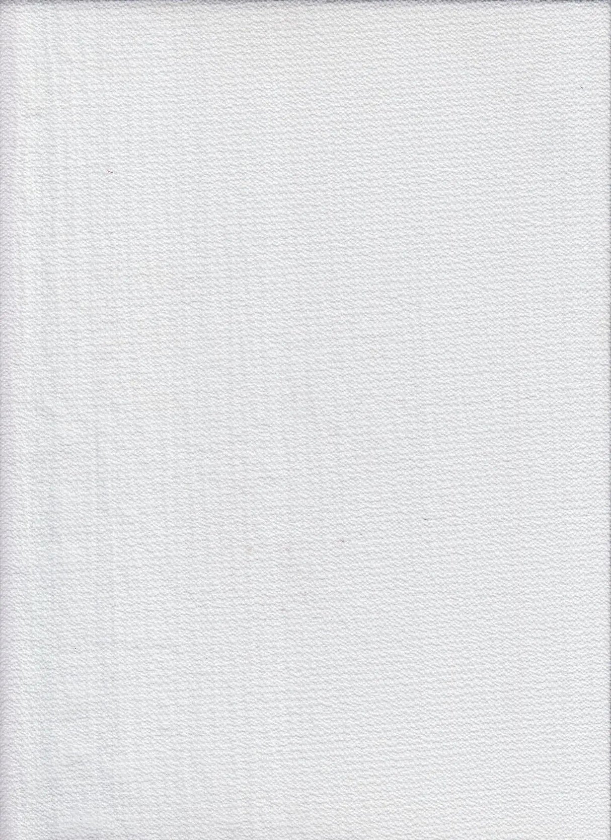 Solid Ghost Bubble Crepe Fabric, Lightweight Textured Stretch 57/58" Wide for Apparel