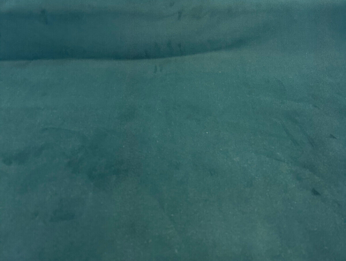 Fabricut Modern Velvet Fabric - Dark Green Solid, 54" Width (1 Yard)