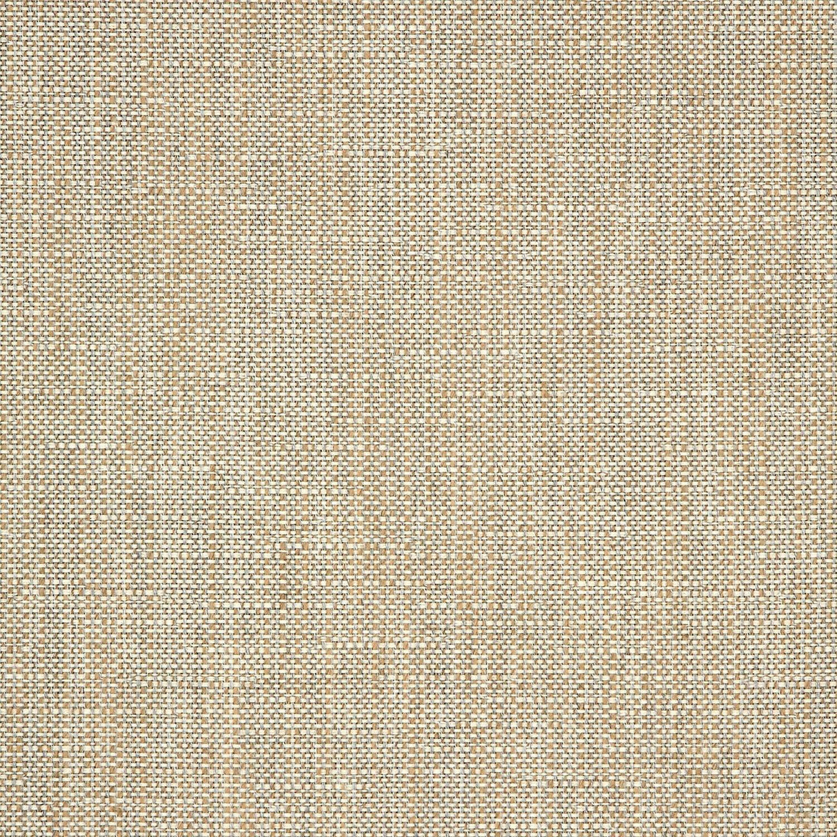 Rochelle Pebble Solution Dyed Acrylic Fabric - Beige Gray Textured, 54" Width (By The Yard)