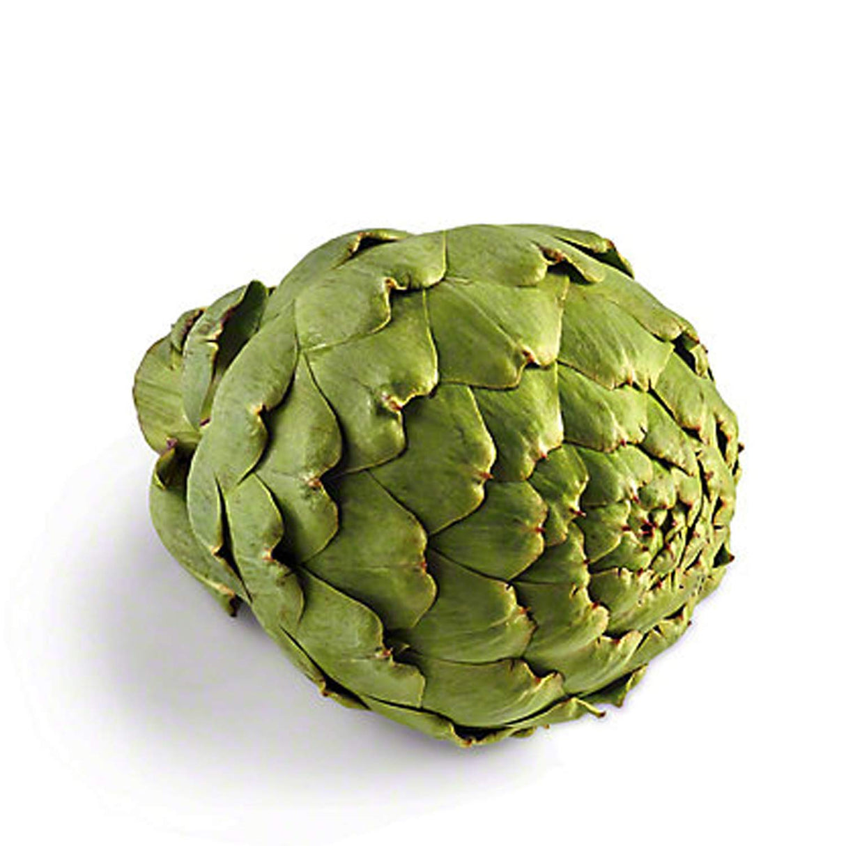 Radyan Fresh Artichokes, Each