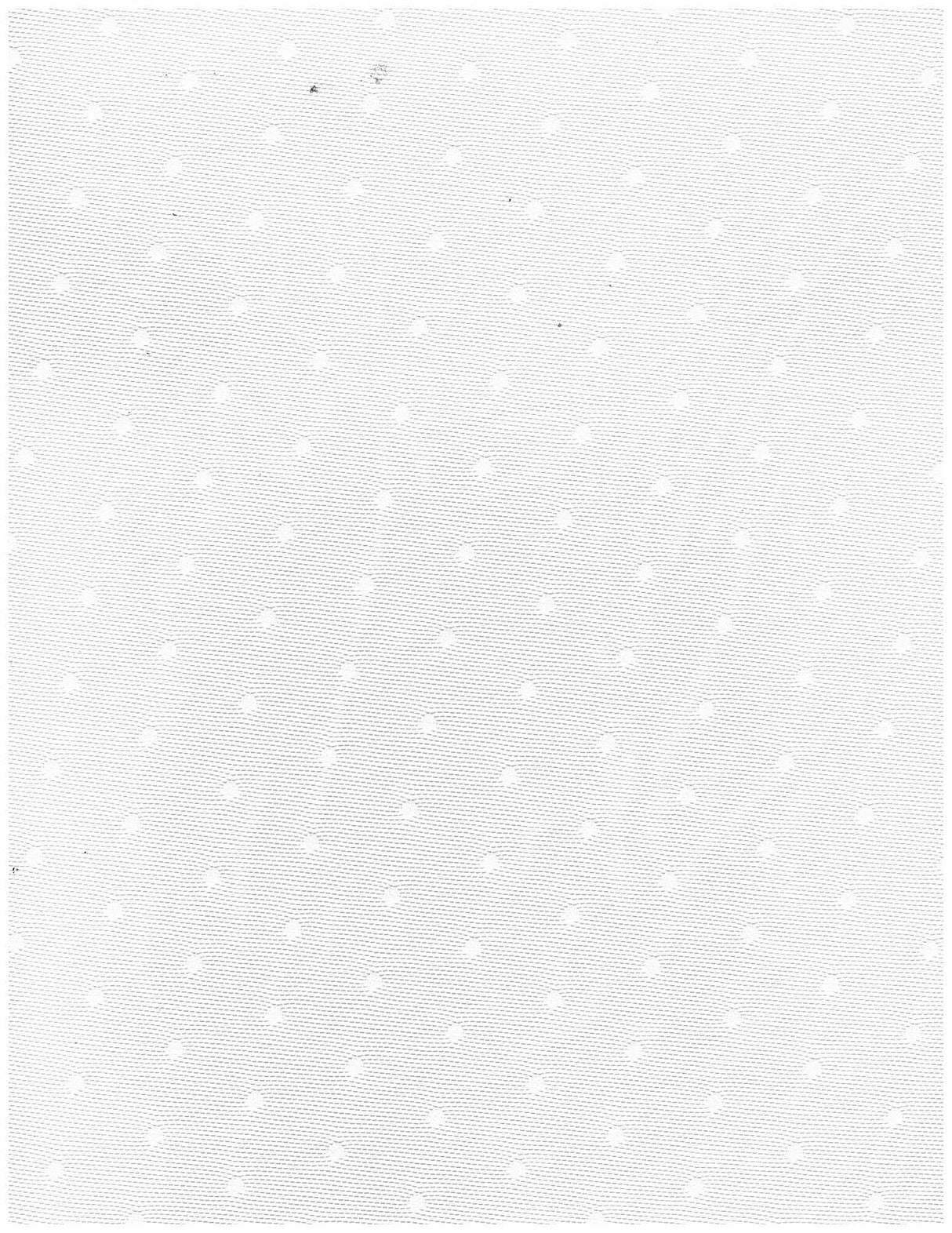 Polka Dot Lace Stretch Mesh