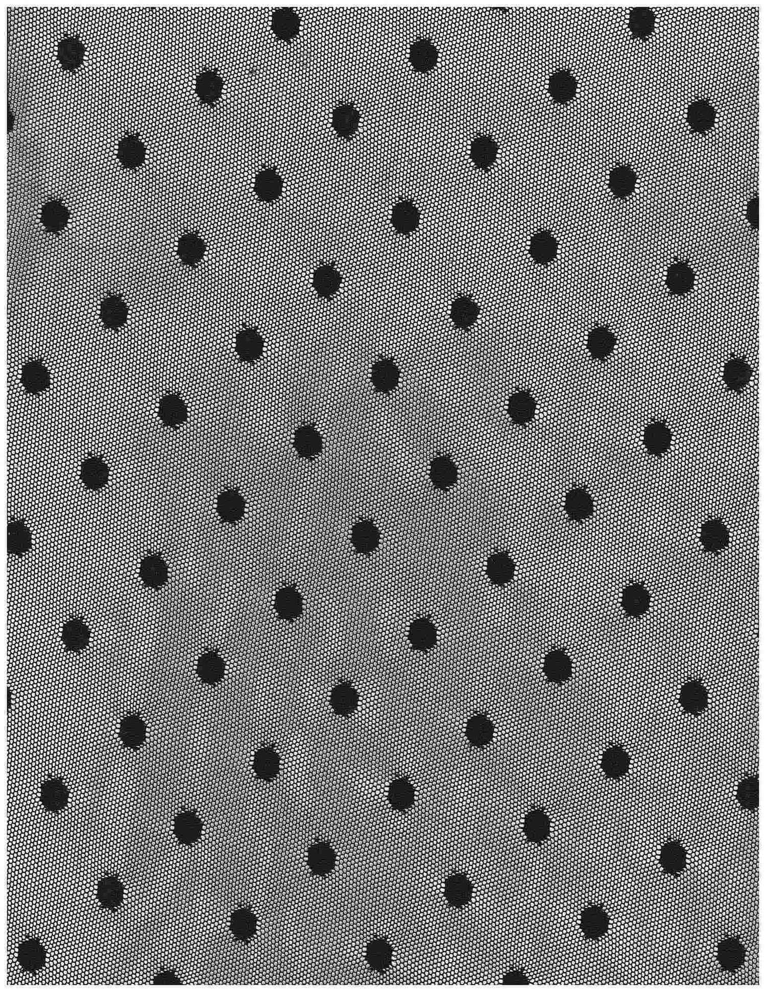 1 Yard Nylon Spandex Polka Dot Lace Mesh Fabric Solid Lightweight Soft Stretch 58/60" Width