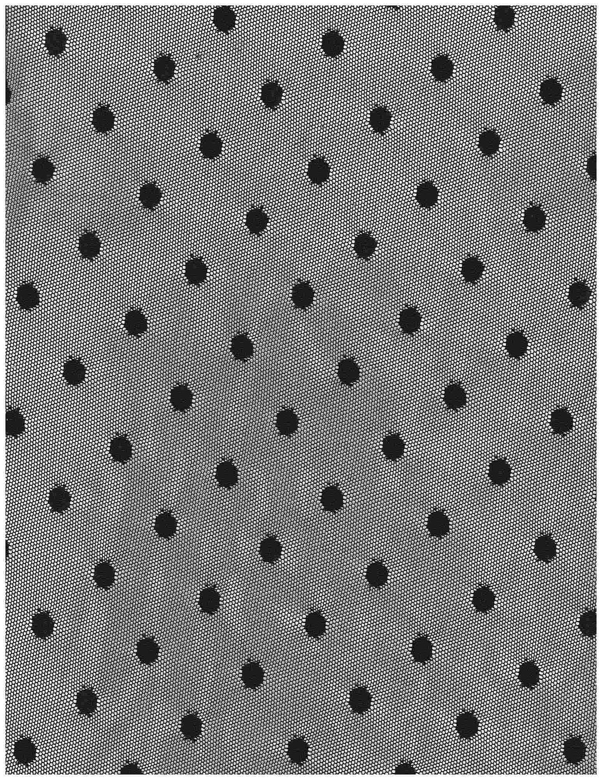 Polka Dot Mesh Stretch Fabric