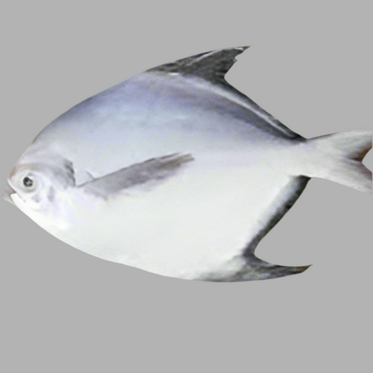 F-Rupchada Fish Small