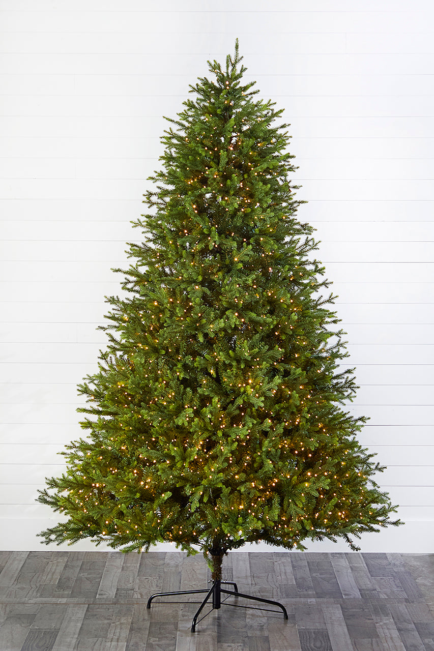 9' Southern Fir with 2400 3mm Lights
