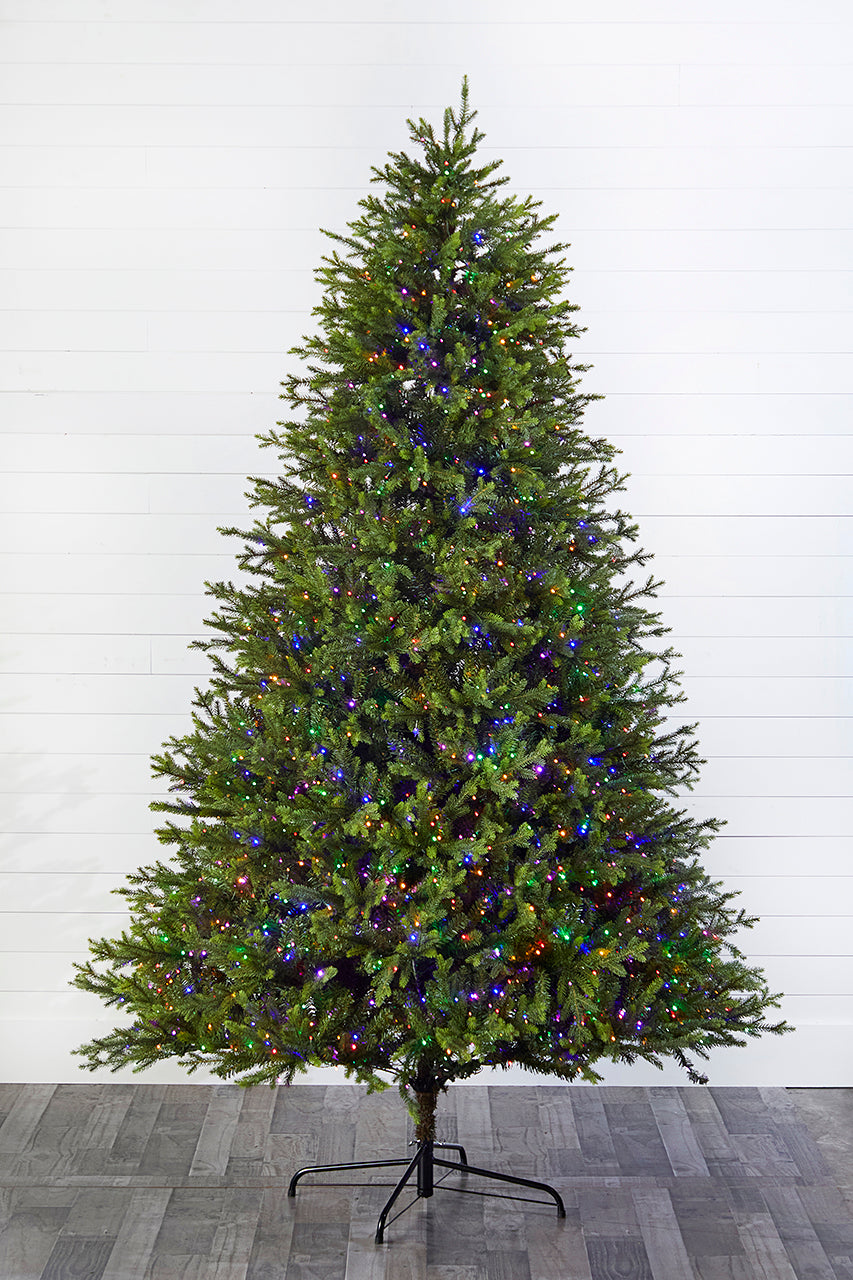 9' Southern Fir with 2400 3mm Lights