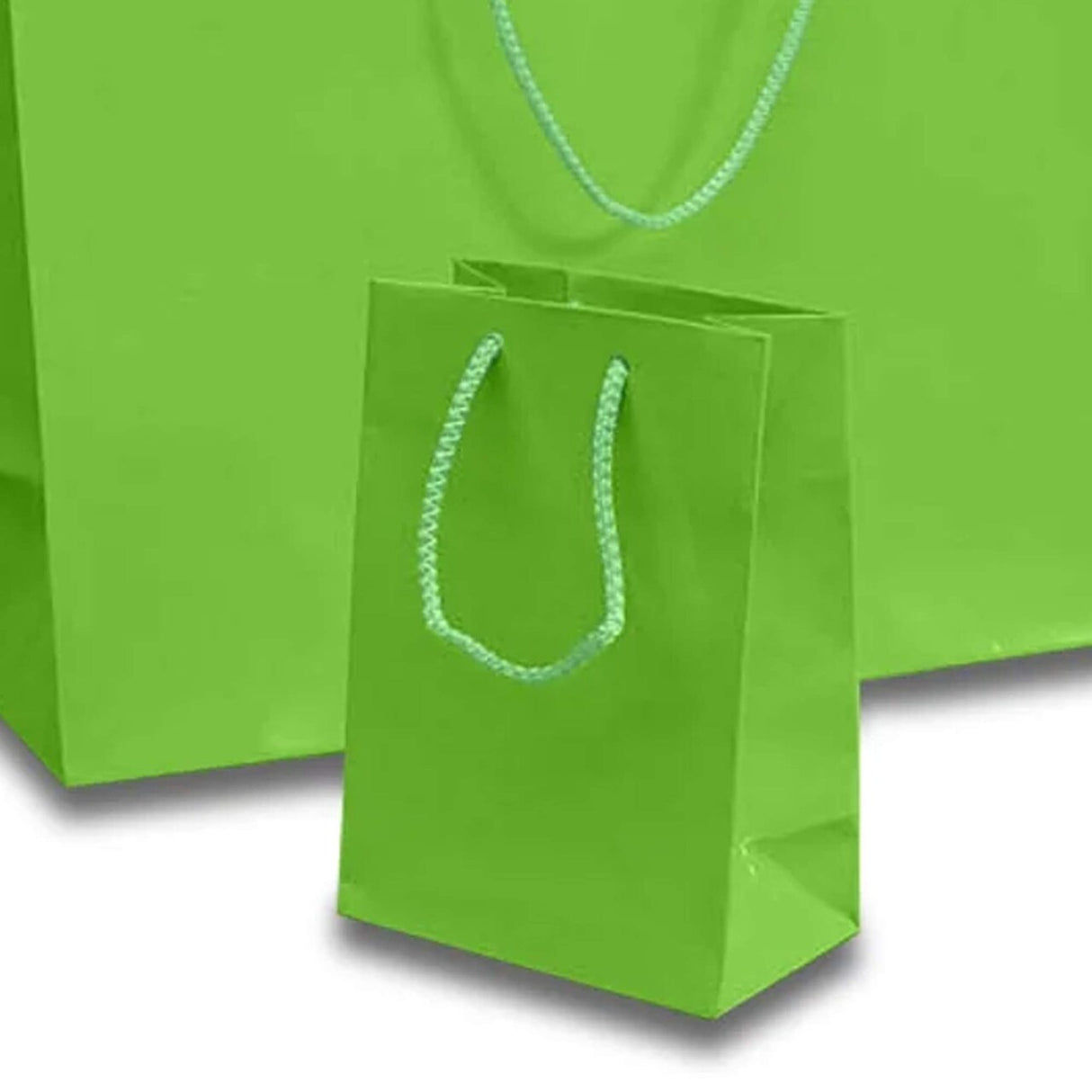 Elegant and Compact Gift Bags Glossy Totes 4 3/4'' x 2 3/4'' x 6 3/4'