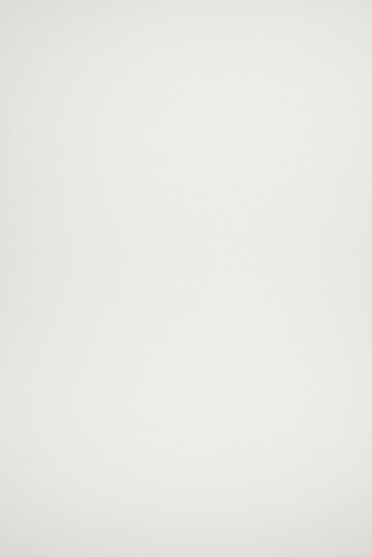 DTY Brushed Stretch Knit Fabric