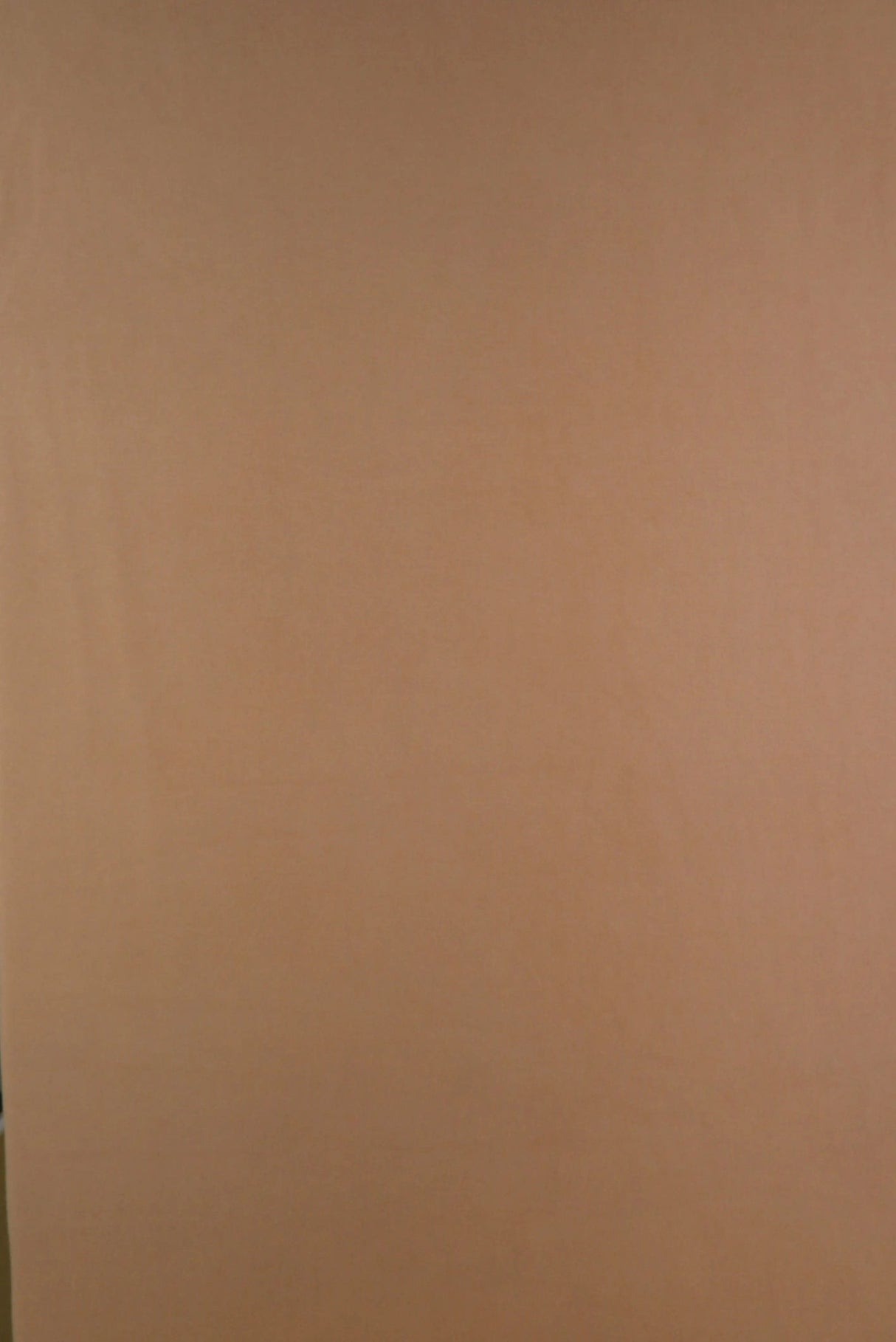 DTY Brushed Solid Knit Fabric, Soft Stretch Lightweight 58/60" Wide for Apparel and Crafts