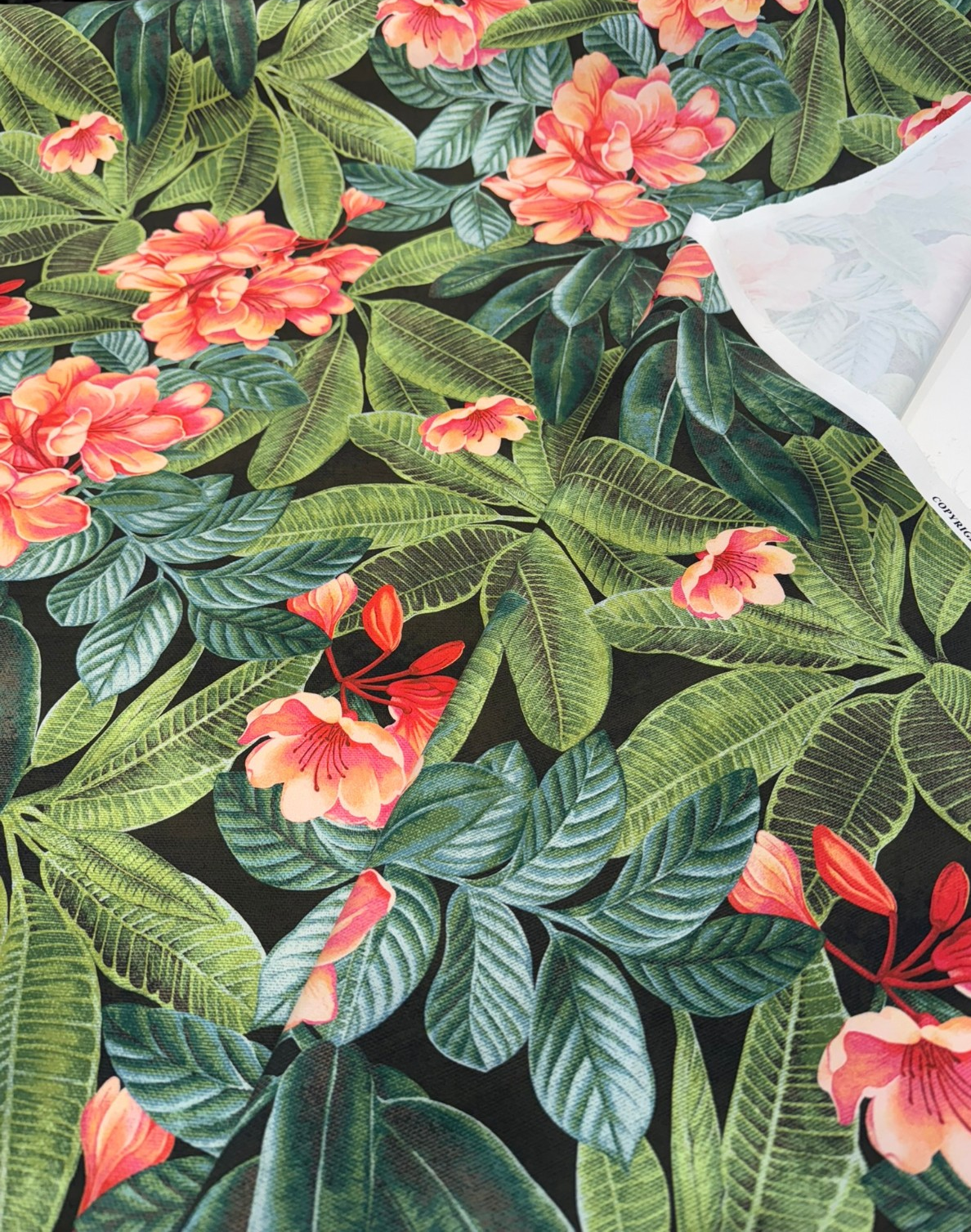 Tommy Bahama Darwin Flora Noir 100 Percent Cotton Fabric - Black Tropical Floral Botanical, 54" Width (By The Yard)