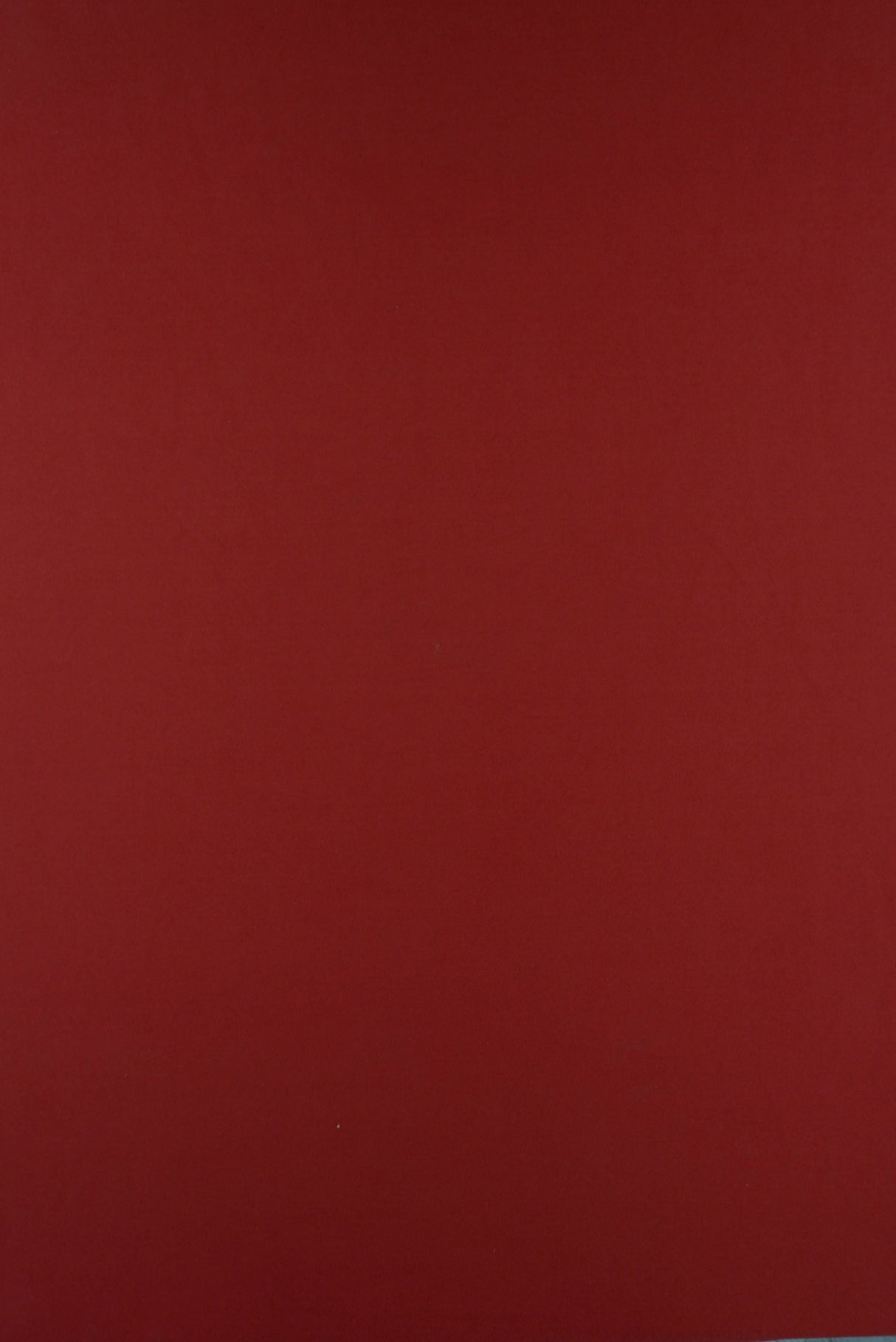 DTY Brushed Stretch Knit Fabric