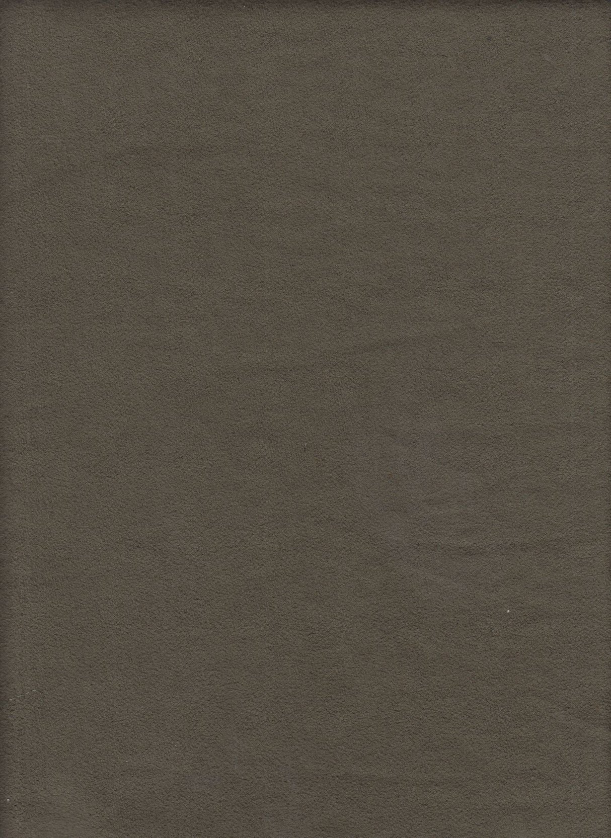 French Terry Stretch Knit Olive