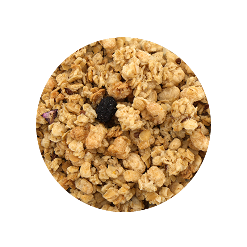 Blueberry Flax Granola Cereal - Bulk Bin 2725 (25 pounds)