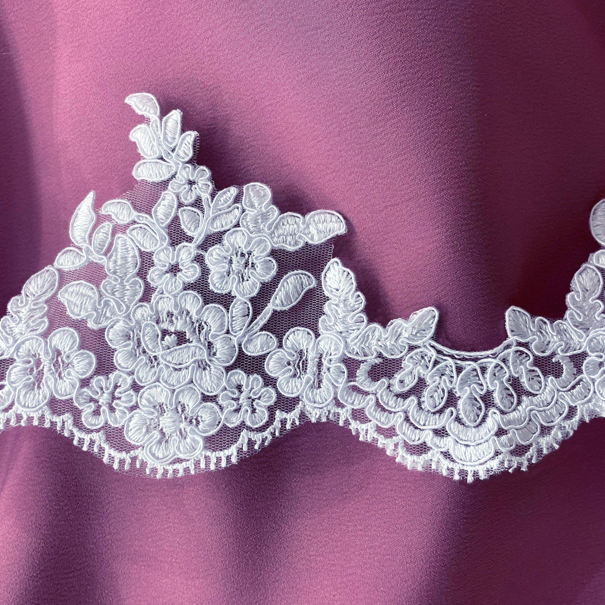 Embroidered Corded Lace Trim White