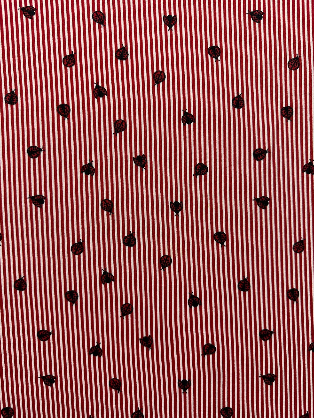 1 Yard Red Stripe Ladybug Print Double Brushed Jersey Knit Fabric Stretch 58 Inches Wide