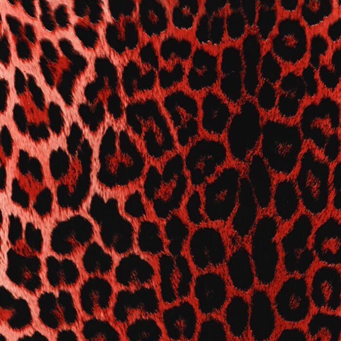 Printed Spandex Panthere Leopard Animal Print