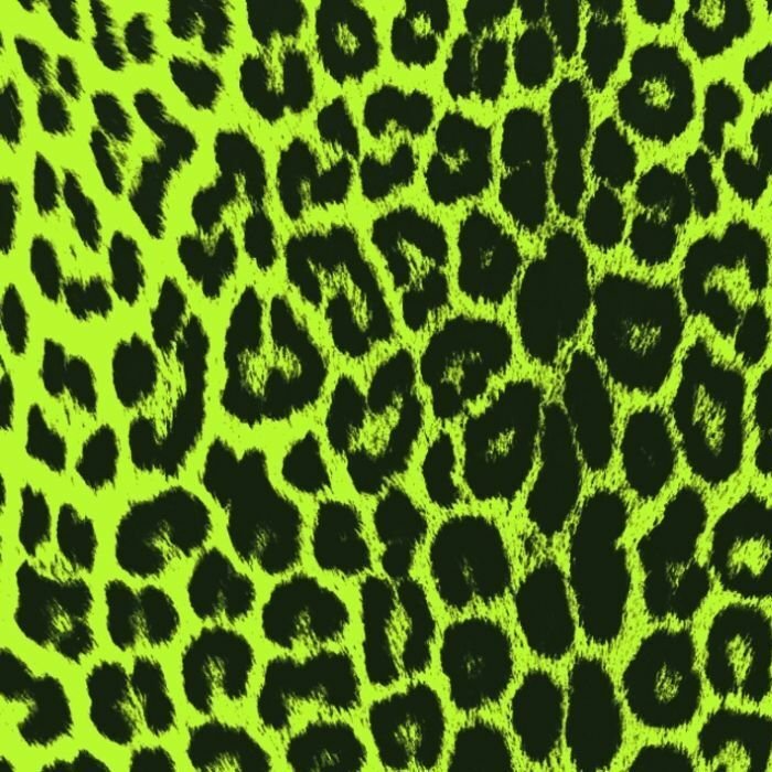 Printed Spandex Panthere Leopard Animal Print