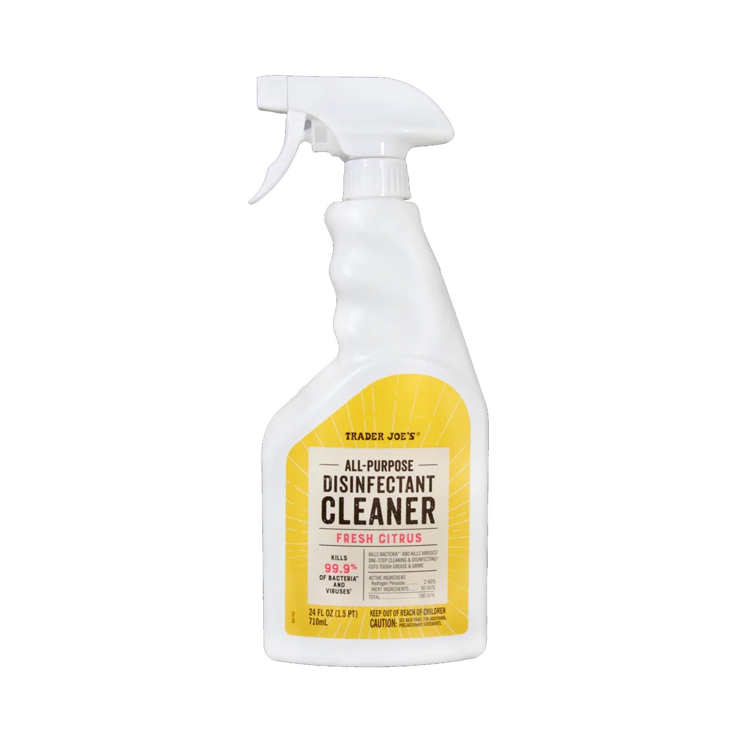 All Purpose Disinfectant Cleaner