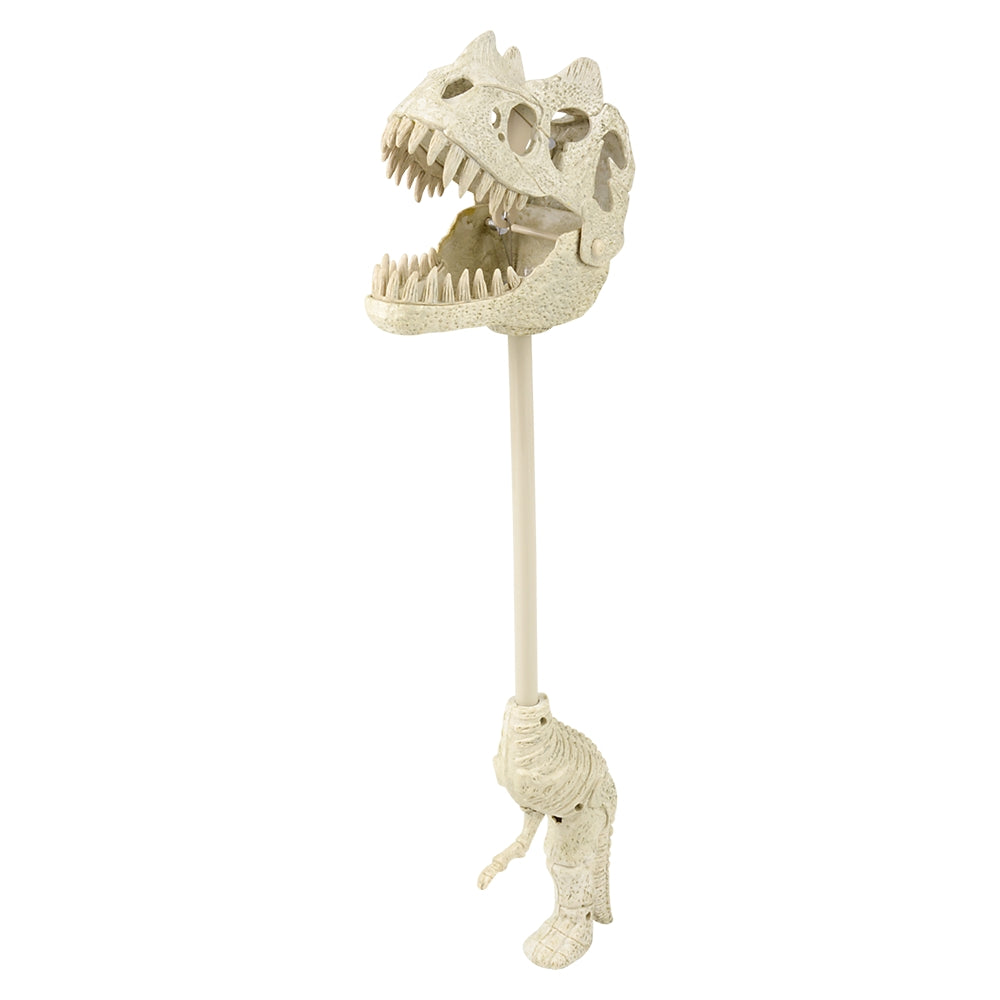 Dinosaur Fossil Snapper With Sound (1 PC)