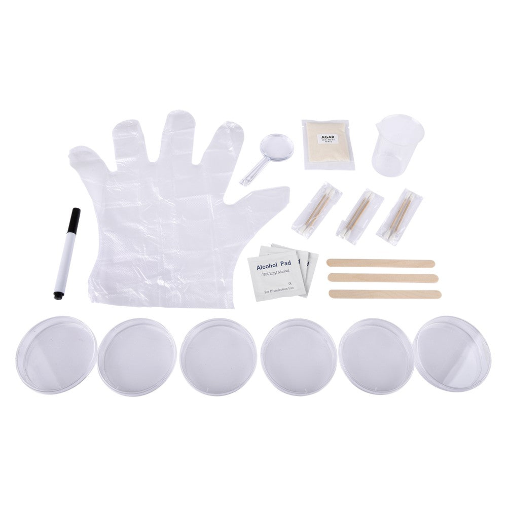 Bacteria Science Kit (1 PC)