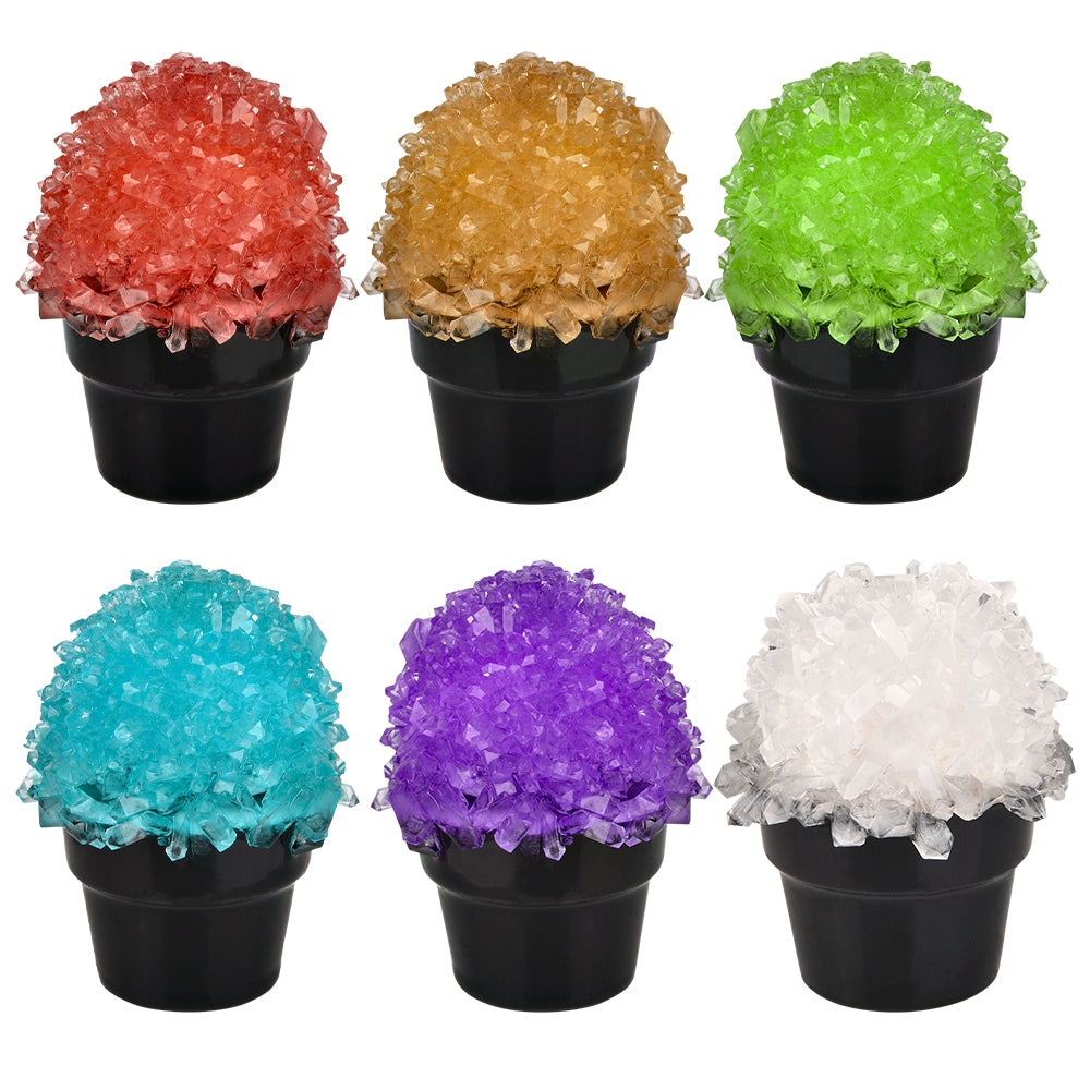Crystal Cactus Kit (1 PC)