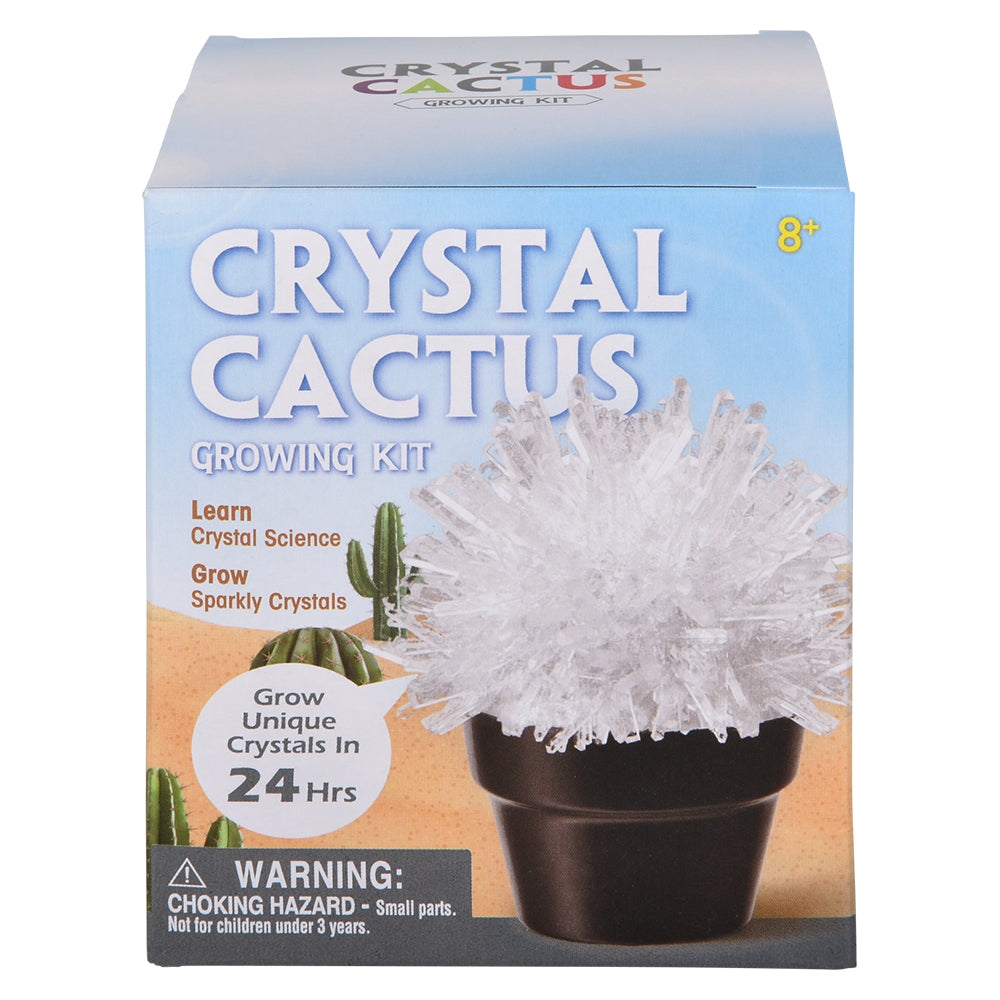 Crystal Cactus Kit (1 PC)