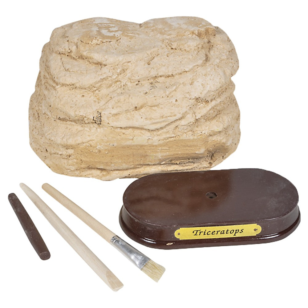 Triceratops Skull Excavation Kit