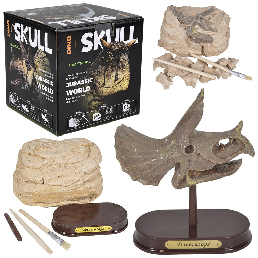 Triceratops Skull Excavation Kit