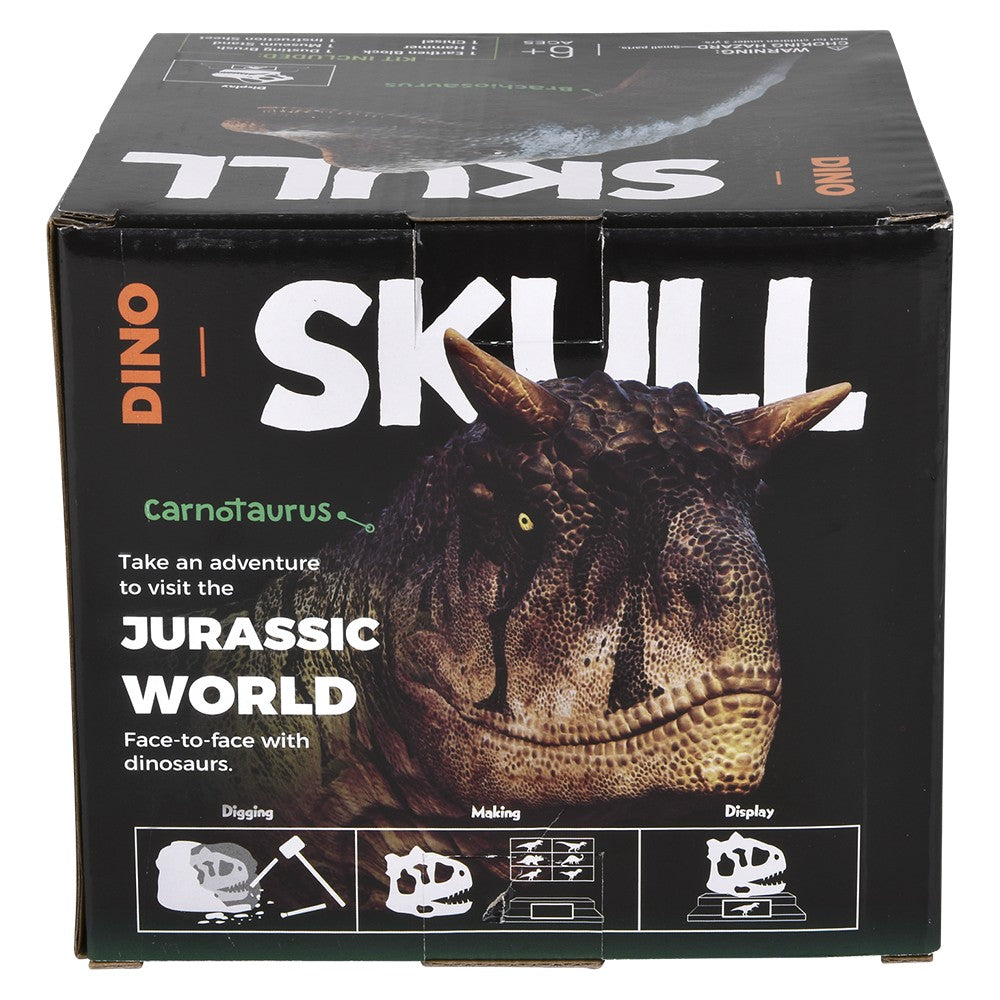 T-Rex Skull Excavation Kit
