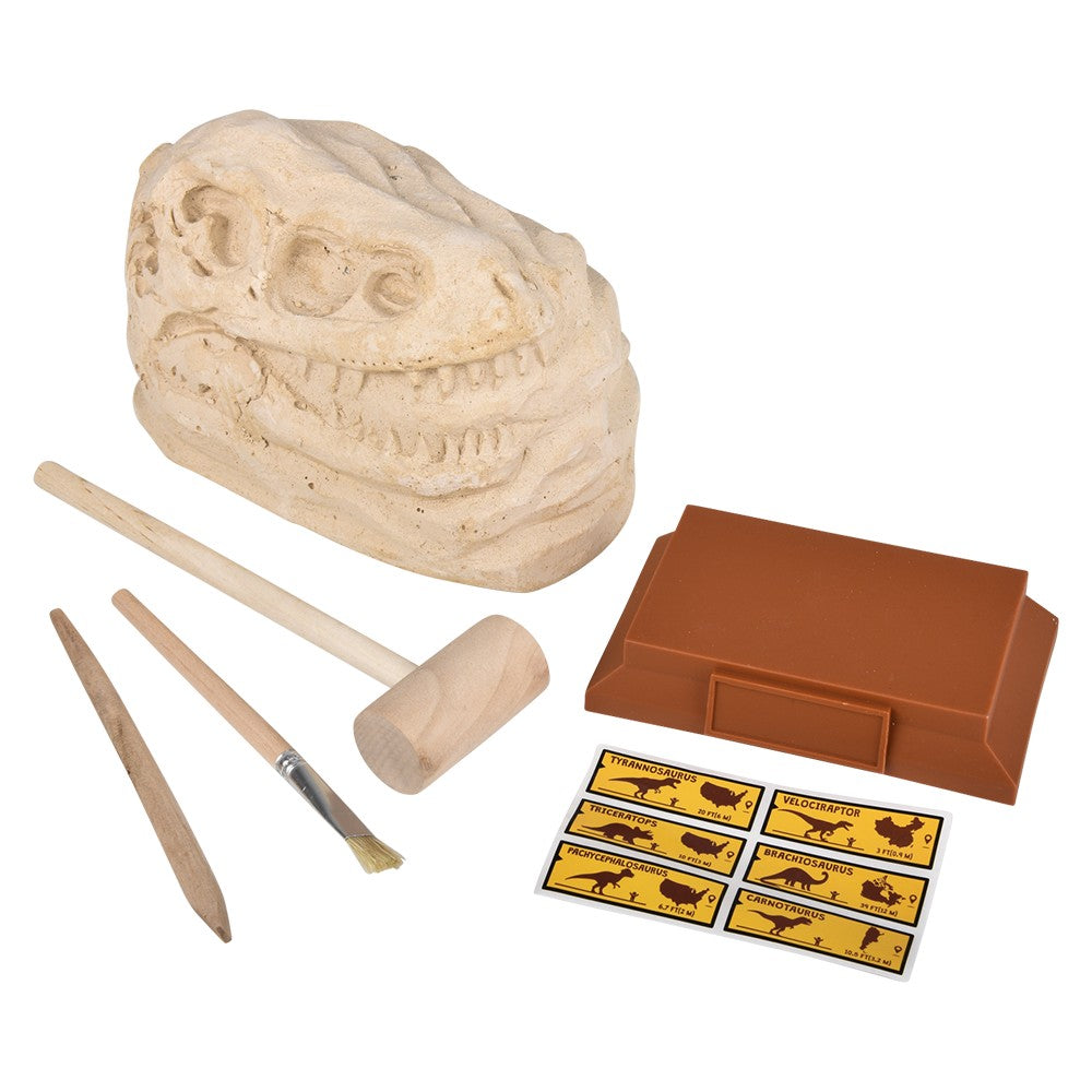 Velociraptor Skull Excavation Kit (1 PC)