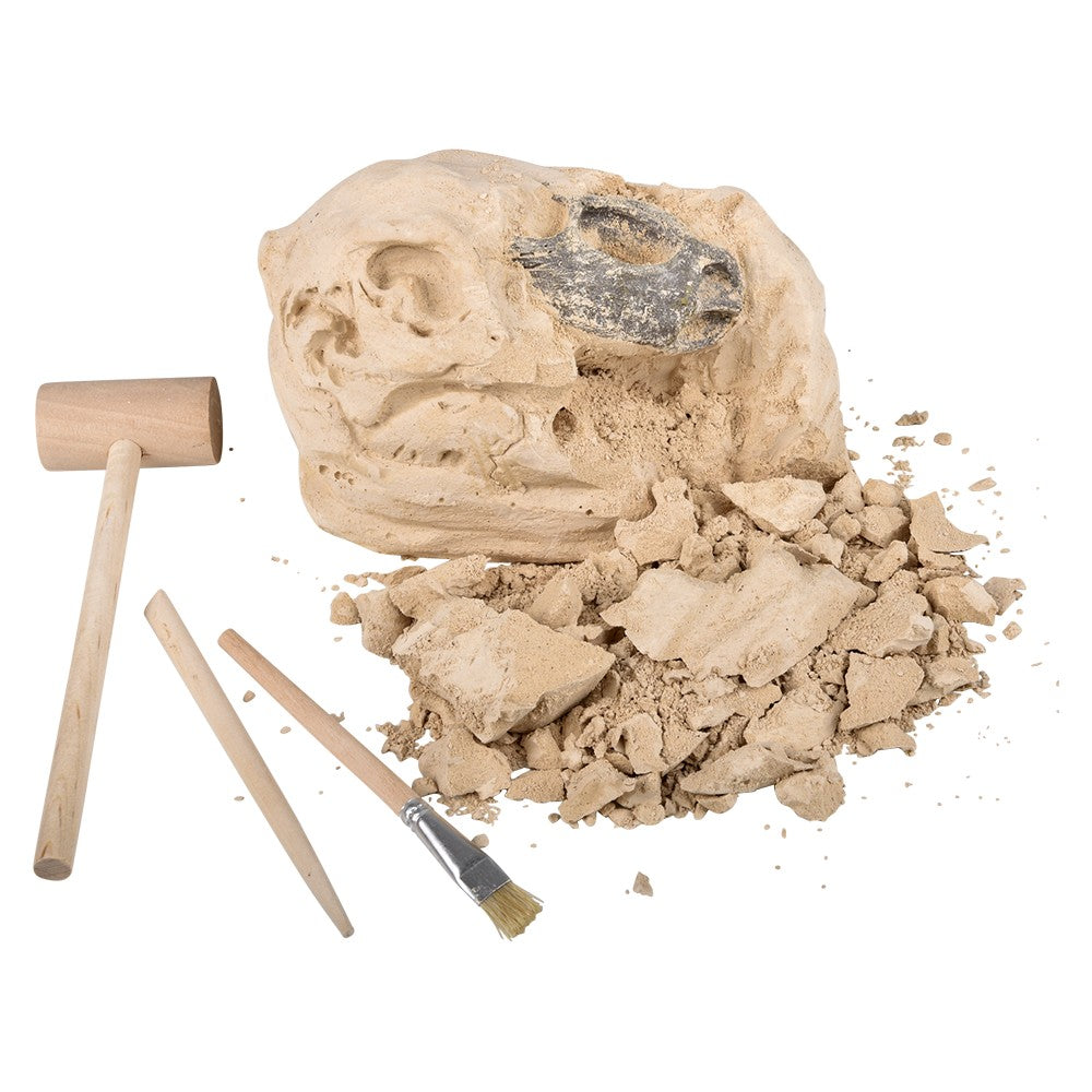 Velociraptor Skull Excavation Kit (1 PC)