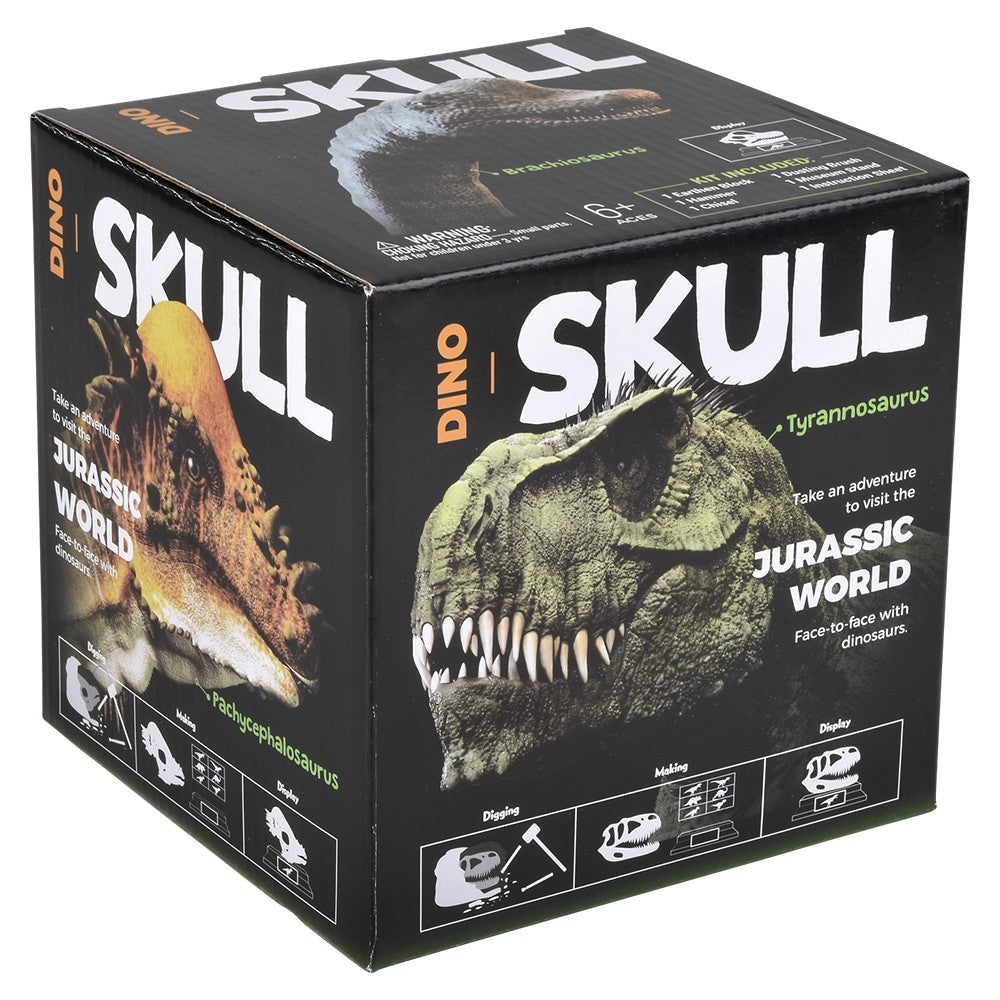 Velociraptor Skull Excavation Kit (1 PC)