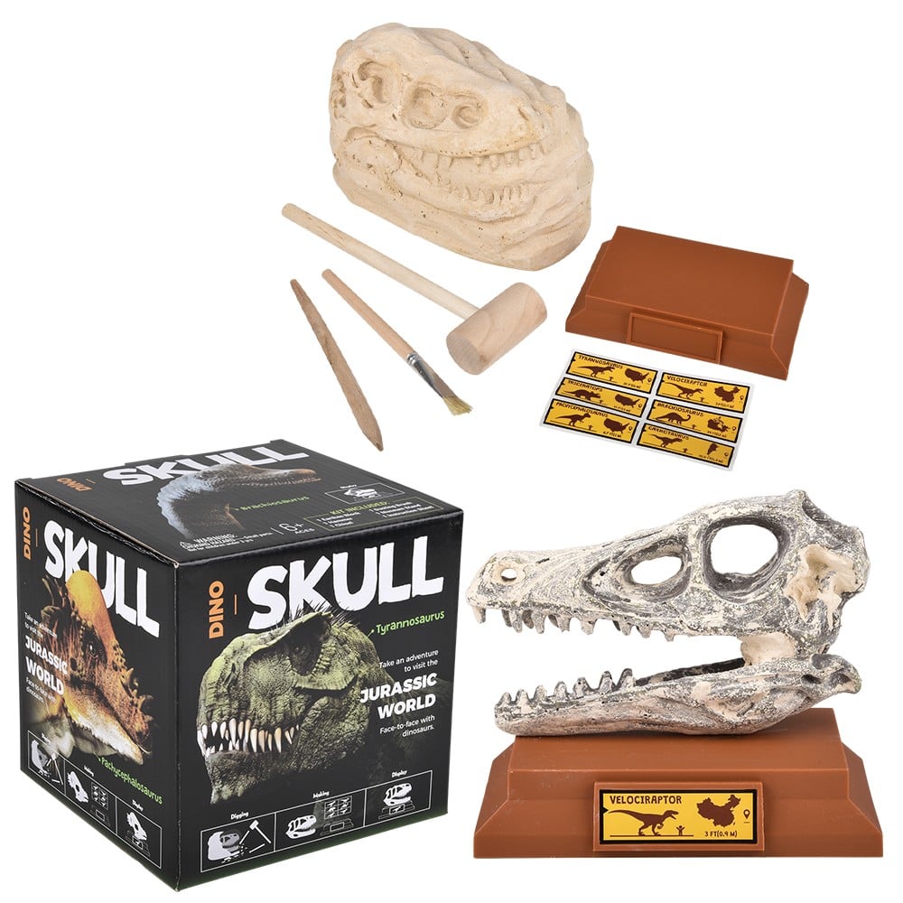 Velociraptor Skull Excavation Kit (1 PC)