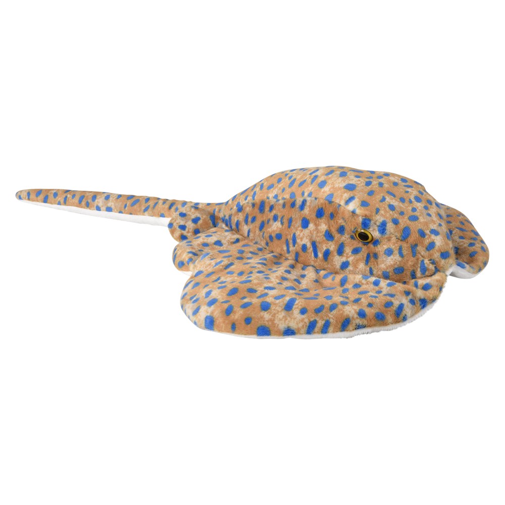 Spotted Ray Plush (1 PC)