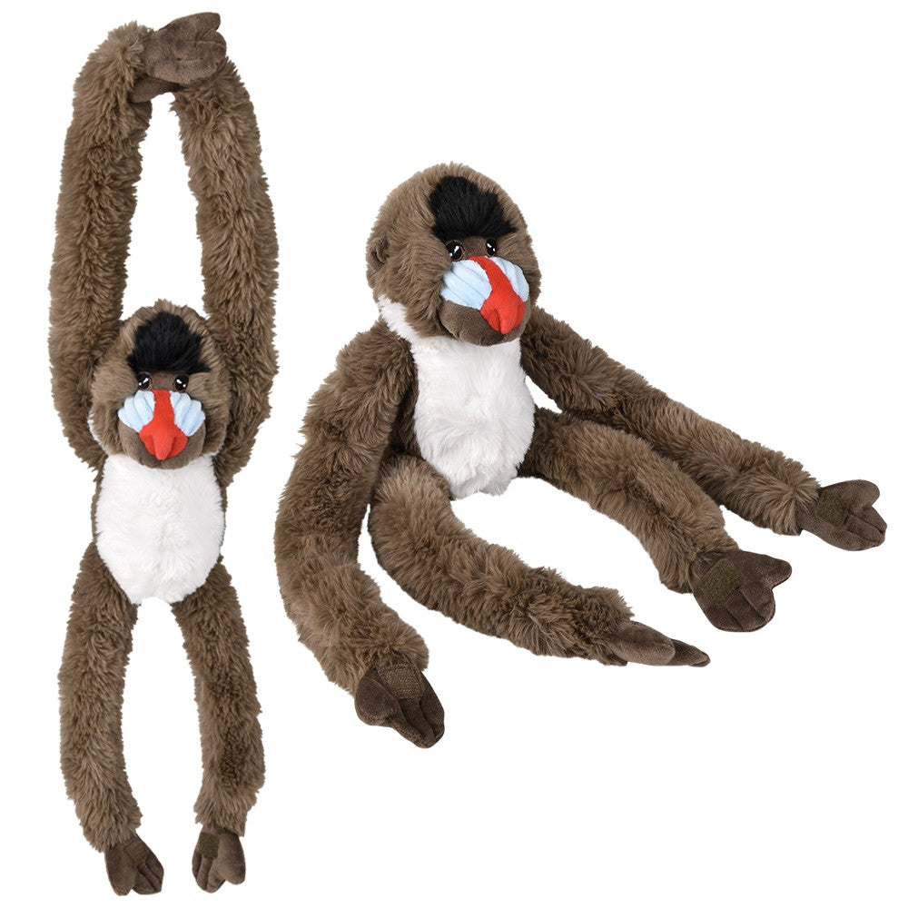 Plush Mandrill Extend-A-Pull Toy