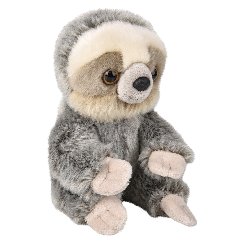 Plush Sloth Stuffed Animal (7 in)