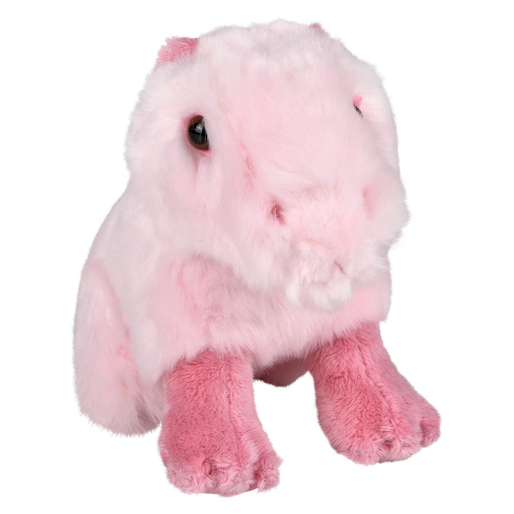 Pink Capybara Plush (1 PC)