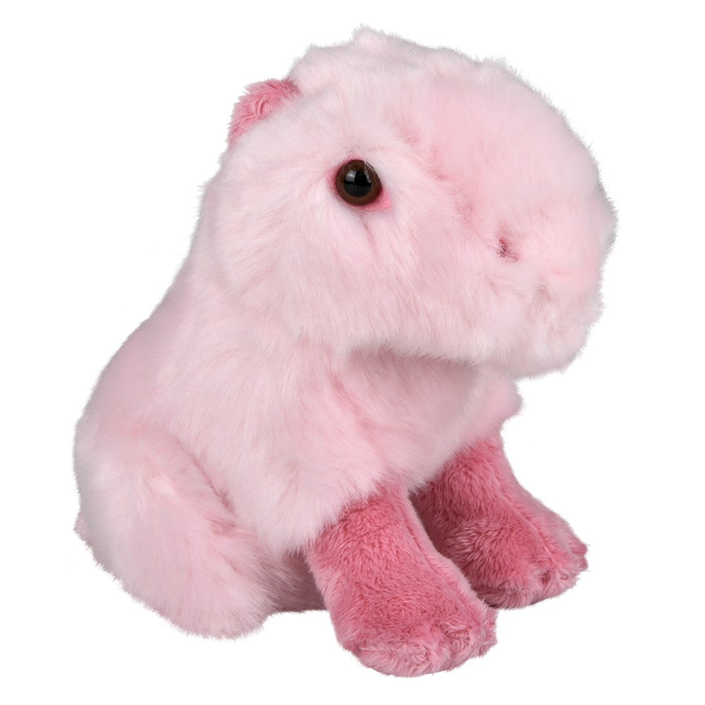 Pink Capybara Plush (1 PC)