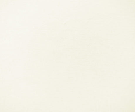 1 Yard Light Ivory Rayon Spandex Jersey Knit Fabric Stretch Apparel 61 Inches Wide