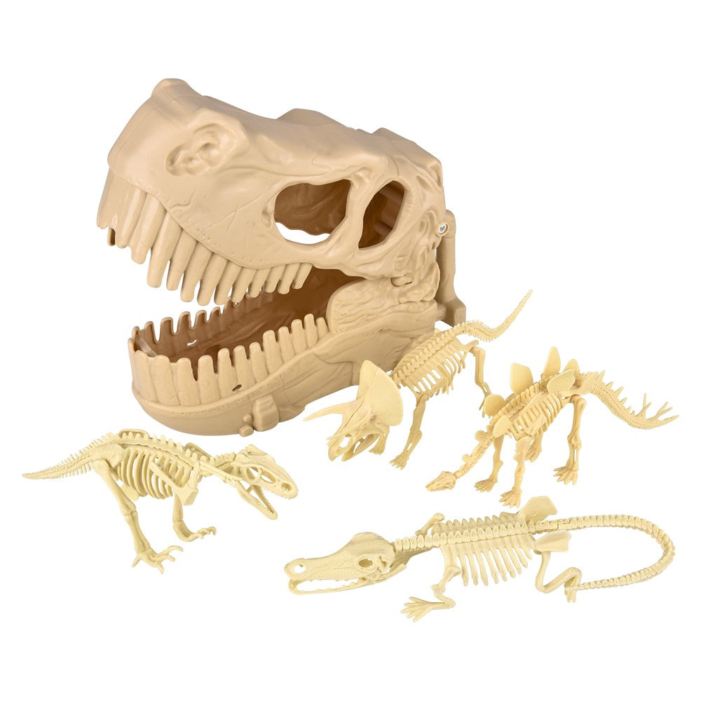Dinosaur Fossil Skull Set 5pc