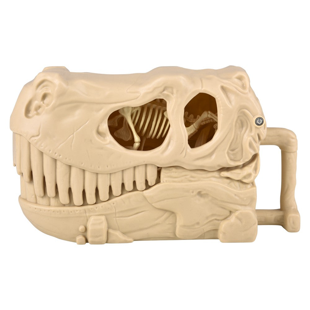 Dinosaur Fossil Skull Set 5pc