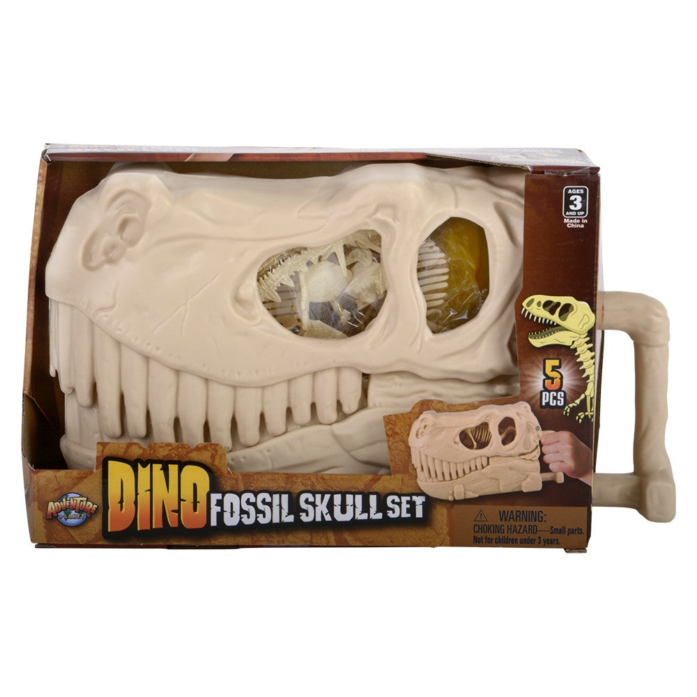 Dinosaur Fossil Skull Set 5pc