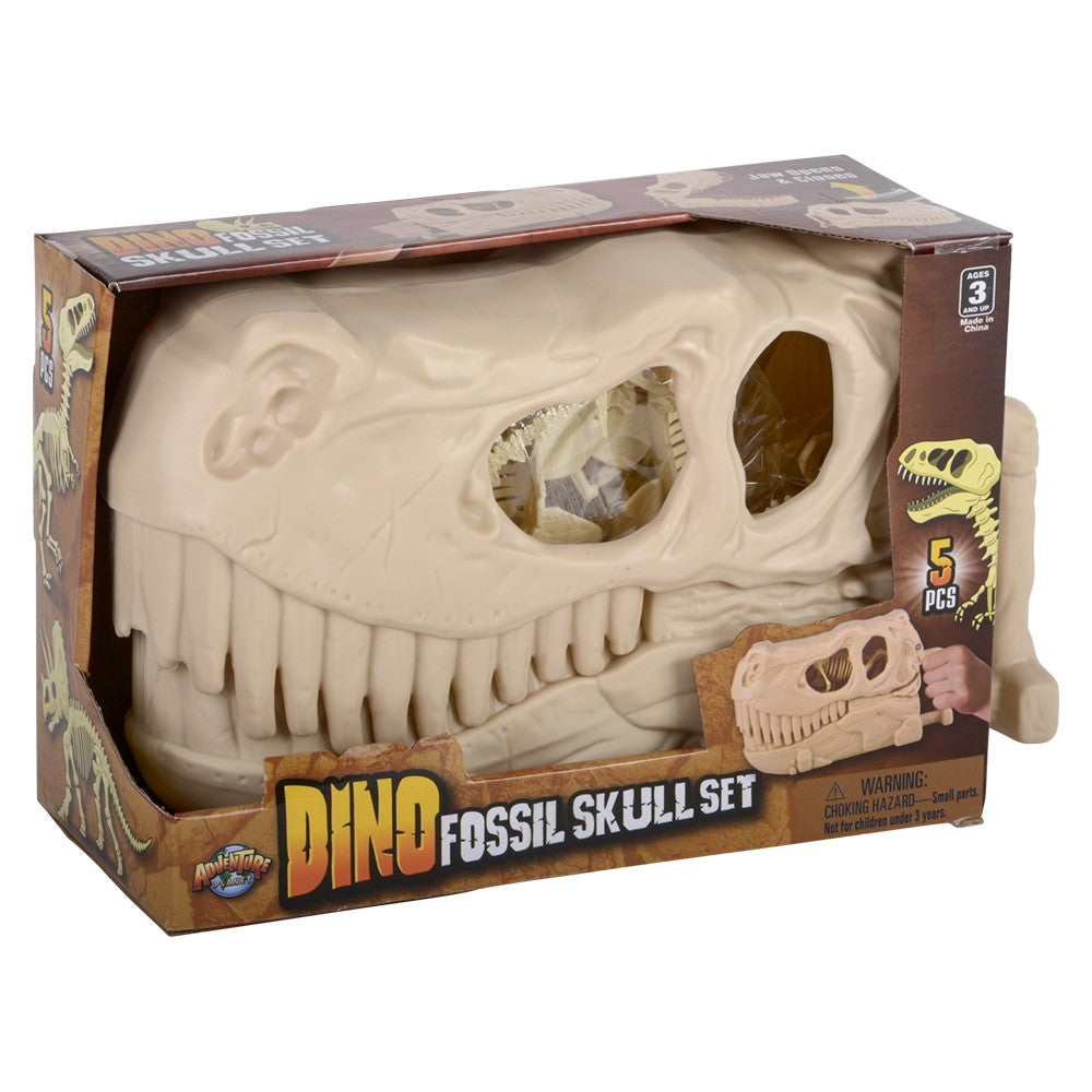 Dinosaur Fossil Skull Set 5pc