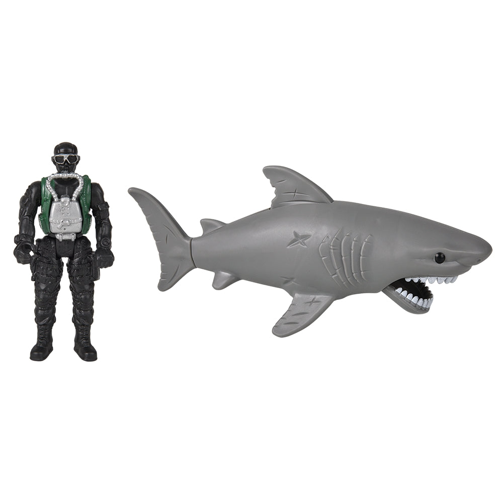 Shark Research Set