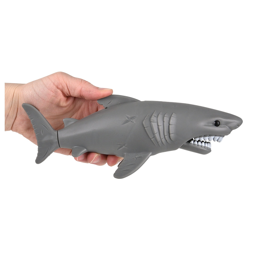 Shark Research Set