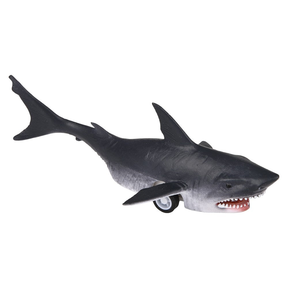 Pull Back Whale And Shark Assortment (1 DSP)