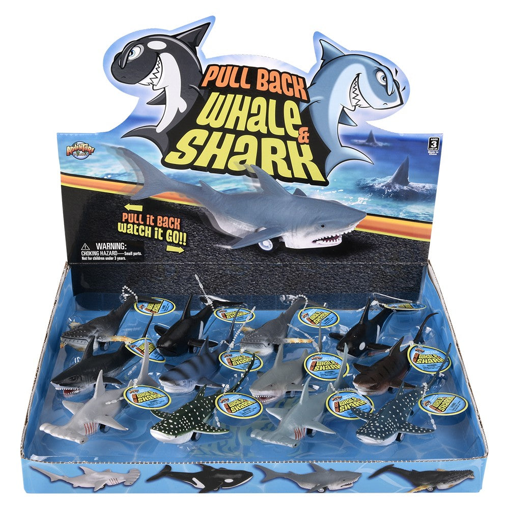 Pull Back Whale And Shark Assortment (1 DSP)