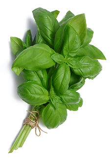 SWEET BASIL